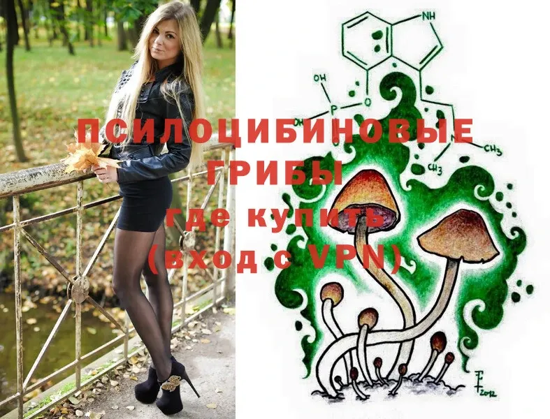 дарнет шоп  Малая Вишера  Галлюциногенные грибы MAGIC MUSHROOMS 